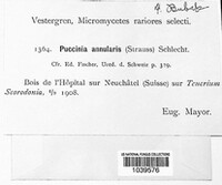 Puccinia annularis image